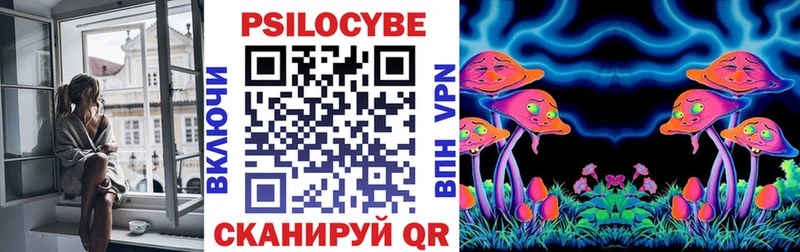 наркотики  Верхняя Тура  Псилоцибиновые грибы MAGIC MUSHROOMS 